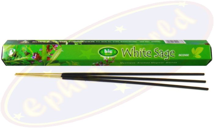bic Brand White Sage Blossom Räucherstäbchen grün