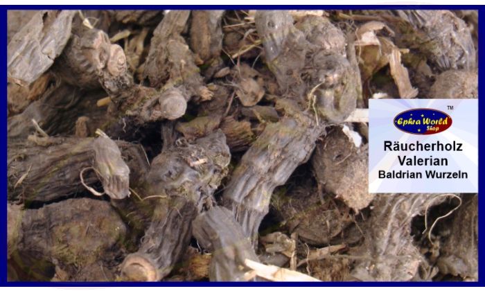 Valerian (Baldrian) Räucherholz 100g
