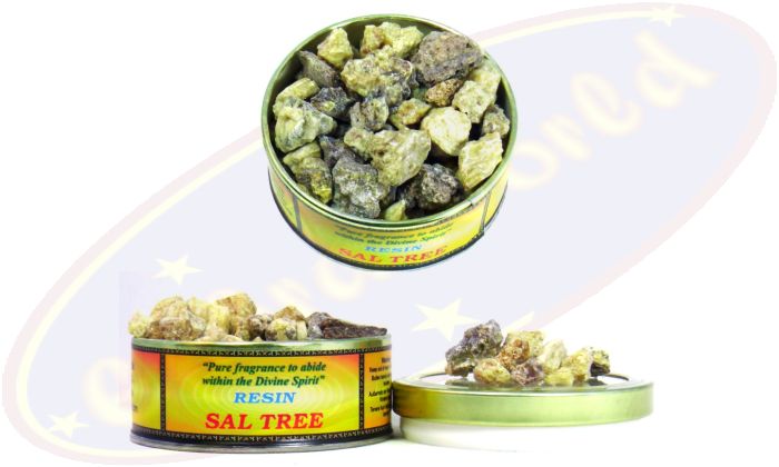 Song Of India Räucherharz Sal Tree 60g