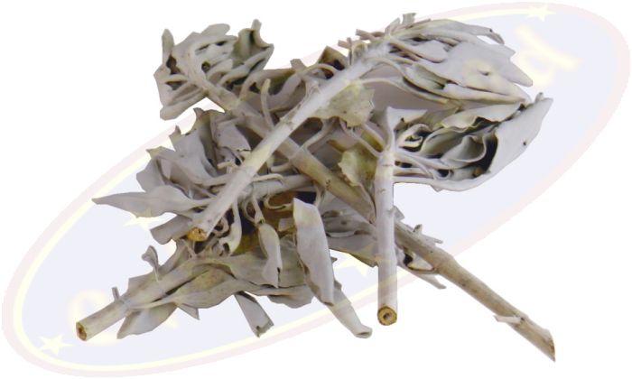 Weißer Salbei Clusters Räucherkraut 25g