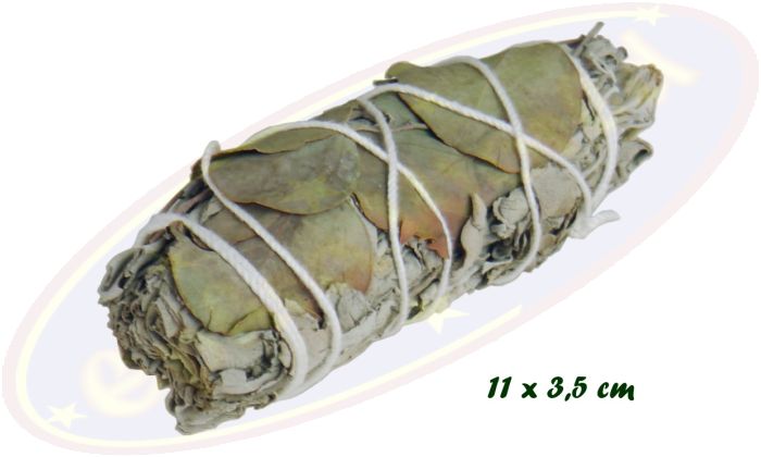 Smudge Stick White Sage & Eucalyptus 25-30g
