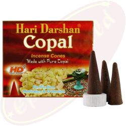 Hari Darshan Copal Räucherkegel