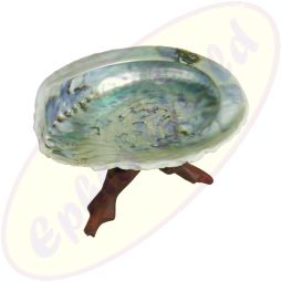 Abalone Muschel 12-14cm mit Kobra Holzdreifuß 15cm