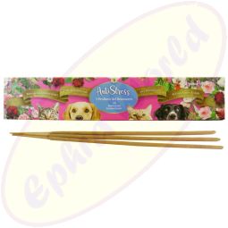Fiore d`Oriente Aroma Pets Masala Räucherstäbchen Anti Stress