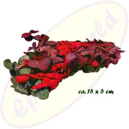 Smudge Stick Eucalyptus & Dragon´s Blood 30-40g