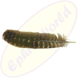 Feder dunkelbraun 28-33cm