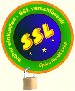 SSL verschl&uuml;sselte Daten&uuml;bertragung f&uuml;r Sicherheit bei Online Einkauf