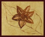 Aromanza Organicos Lavandas Eucalipto Smudge R&auml;ucherst&auml;bchen