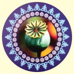 Ayurvedic Opium Masala R&auml;ucherst&auml;bchen