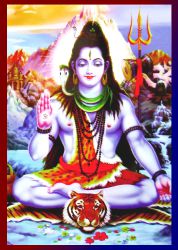 Darshan Lord Shiva R&auml;ucherst&auml;bchen