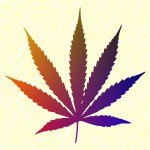 Ppure Nag Champa Cannabis Masala R&auml;ucherst&auml;bchen