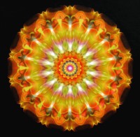 Urania Spiritueller Survival Guide