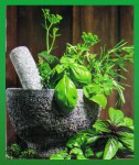 AUM Seven Herbs & Thick Salt/Sal Cruesa Flora R&auml;ucherst&auml;bchen