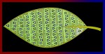 Aztec Banjara Sweetgrass Ethno-Tribal Smudge Masala Incense Sticks