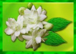 Graden Fresh Jasmine Premium Masala Incense Sticks Graden Fresh Jasmine Premium Masala Räucherstäbchen