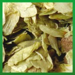 Räucherhaus Räucherkraut Bio-Hopfenblüten 30g Räucherhaus Räucherkraut Bio-Hopfenblüten 30g
