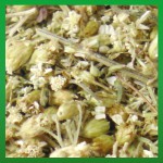 Räucherhaus Räucherkraut Bio-Schafgarbenkraut 15g Räucherhaus Räucherkraut Bio-Schafgarbenkraut 15g