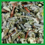 EW-Räucherhaus Kräutermischung Wanda-Wächterin der Natur 20g EW-Räucherhaus Kräutermischung Wanda-Wächterin der Natur 20g