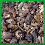 EW-Räucherhaus Räuchermischung Wanda Waldkraft 20g EW-Räucherhaus Räuchermischung Wanda Waldkraft 20g
