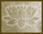 Fiore d`Oriente Golden Lotus Masala R&auml;ucherst&auml;bchen Cinnamon
