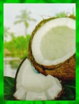 Goloka Coconut R&auml;ucherst&auml;bchen