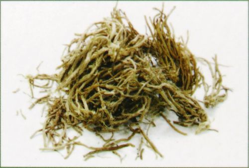 Goloka Natural Vetiver Premium Masala Räucherstäbchen Premium Masala Räucherstäbchen Goloka Natural Vetiver