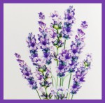 Green Tree Lavender & Olibanum Extra Premium Masala R&auml;ucherst&auml;bchen