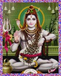 Green Tree Lord Shiva Incense Sticks