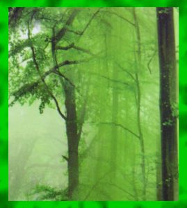 Green Tree R&uuml;ckfluss R&auml;ucherkegel Mother Earth