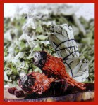 Green Tree White Sage & Dragonsblood Flora Incense Sticks
