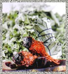 Green Tree White Sage & Dragonsblood Masala Räucherstäbchen Green Tree White Sage & Dragonsblood Masala Incense Sticks