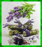 Green Tree White Sage & Lavender Flora Räucherstäbchen Green Tree White Sage & Lavender Flora Incense Sticks