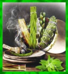 Green Tree White Sage & Sweetgrass Flora Räucherstäbchen Green Tree White Sage & Sweetgrass Flora Incense Sticks