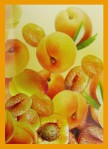 HEM Apricot R&auml;ucherst&auml;bchen