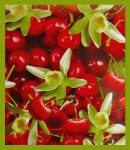 HEM Cherry Vanilla R&auml;ucherst&auml;bchen