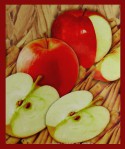 HEM Cinnamon Apple R&auml;ucherkegel