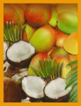 HEM Coconut Mango Räucherstäbchen