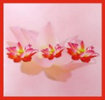 HEM Lotus R&auml;ucherkegel