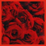 HEM Red Rose R&auml;ucherkegel