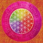 HEM Spiritual Scents Flower of Life Masala Räucherstäbchen HEM Masala Räucherstäbchen Spiritual Scents Flower of Life