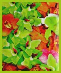 HEM Wild Orchids R&auml;ucherst&auml;bchen
