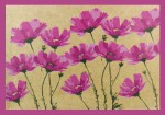 Orkay Namaste India Florida Water Natural Smudge R&auml;ucherst&auml;bche