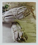 SAC White Sage R&auml;ucherst&auml;bchen