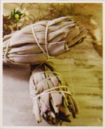 SAC White Sage R&auml;ucherkegel