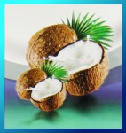 Satya LLP Coconut Dry Masala Räucherstäbchen