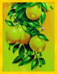 Satya LLP Lime & Lemon Dry Masala R&auml;ucherst&auml;bchen