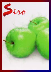 Siro Fresh Green Apple R&auml;ucherst&auml;bchen