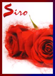 Siro Magical Rose R&auml;ucherst&auml;bchen