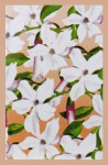 Tulasi Jasmine XL R&auml;ucherst&auml;bchen