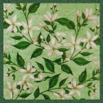 Tulasi Sweet Jasmine Exclusiv Masala R&auml;ucherst&auml;bchen